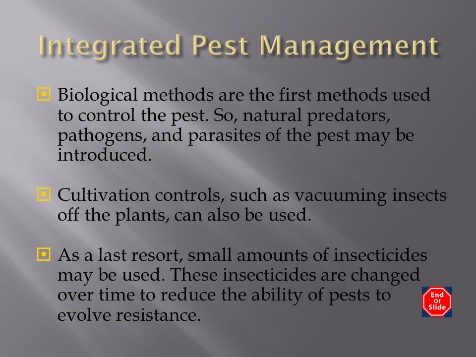  Biological methods are the first methods used to control the pest.