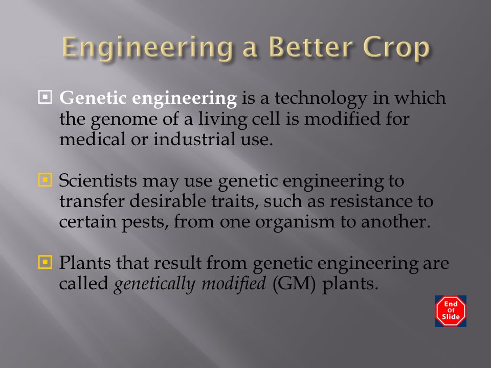  Genetic engineering is a technology in which the genome of a living cell is modified for medical or industrial use.