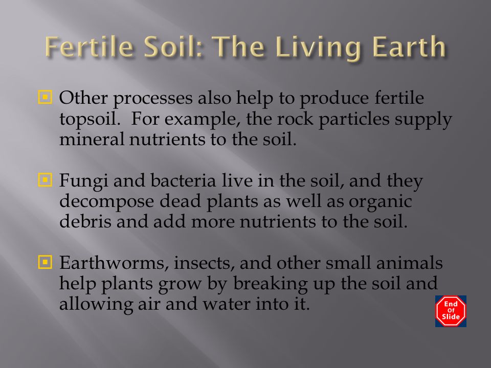  Other processes also help to produce fertile topsoil.