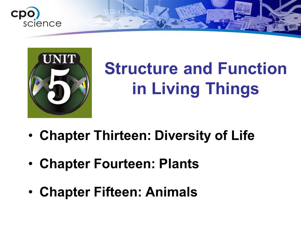 Structure and Function in Living Things Chapter Thirteen: Diversity of Life Chapter Fourteen: Plants Chapter Fifteen: Animals