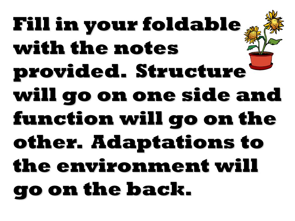 Fill in your foldable with the notes provided.