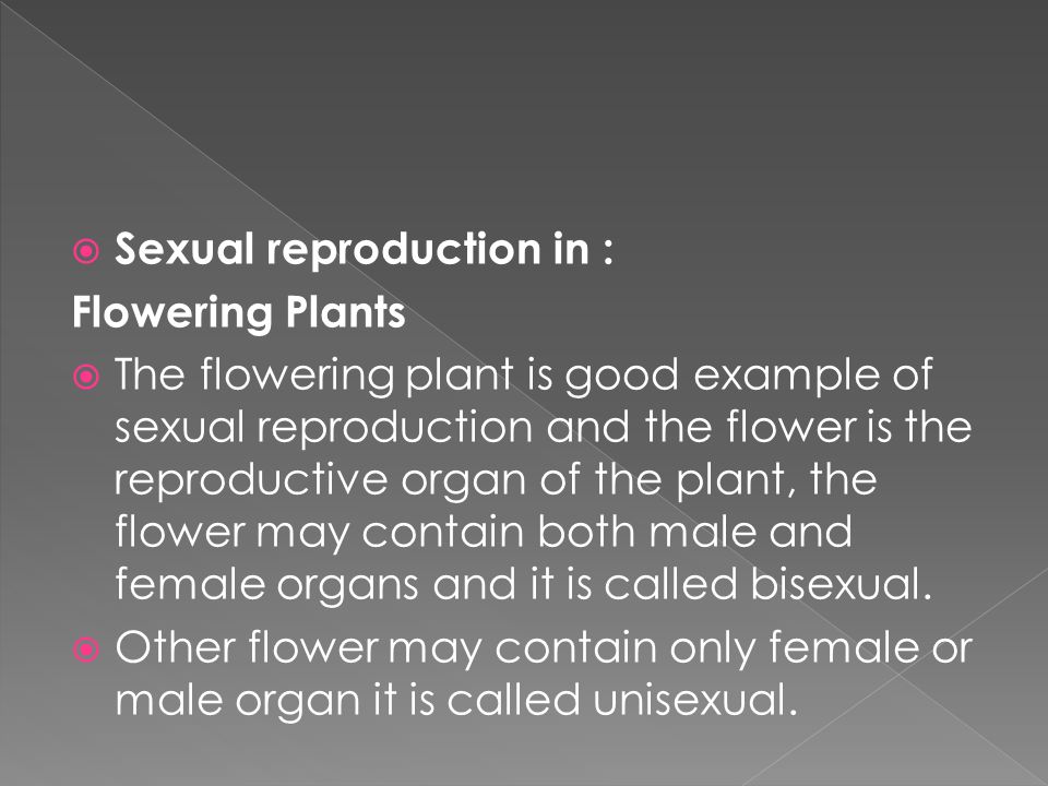  Sexual reproduction in : Flowering Plants  The flowering plant is good example of sexual reproduction and the flower is the reproductive organ of the plant, the flower may contain both male and female organs and it is called bisexual.