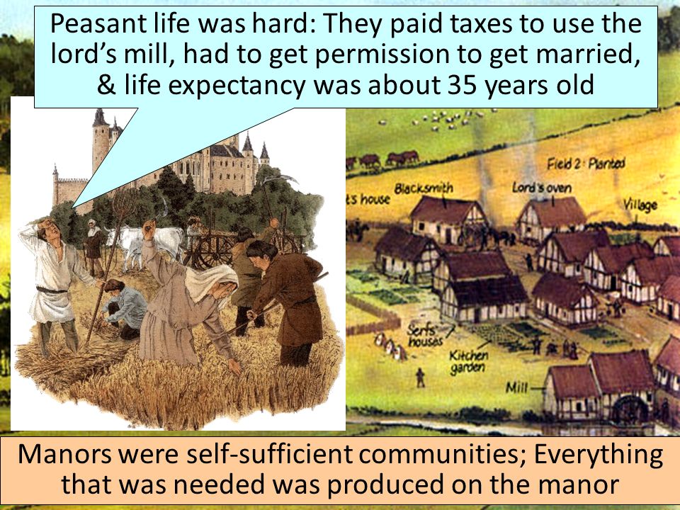 Manors were self-sufficient communities; Everything that was needed was produced on the manor Peasant life was hard: They paid taxes to use the lord’s mill, had to get permission to get married, & life expectancy was about 35 years old