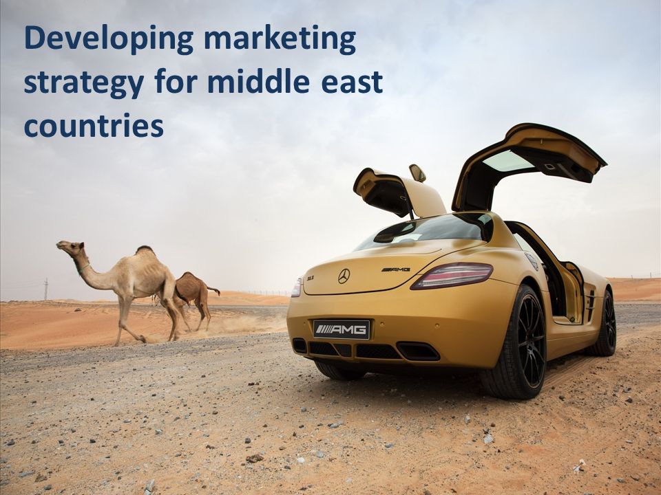 Developing marketing strategy for middle east countries