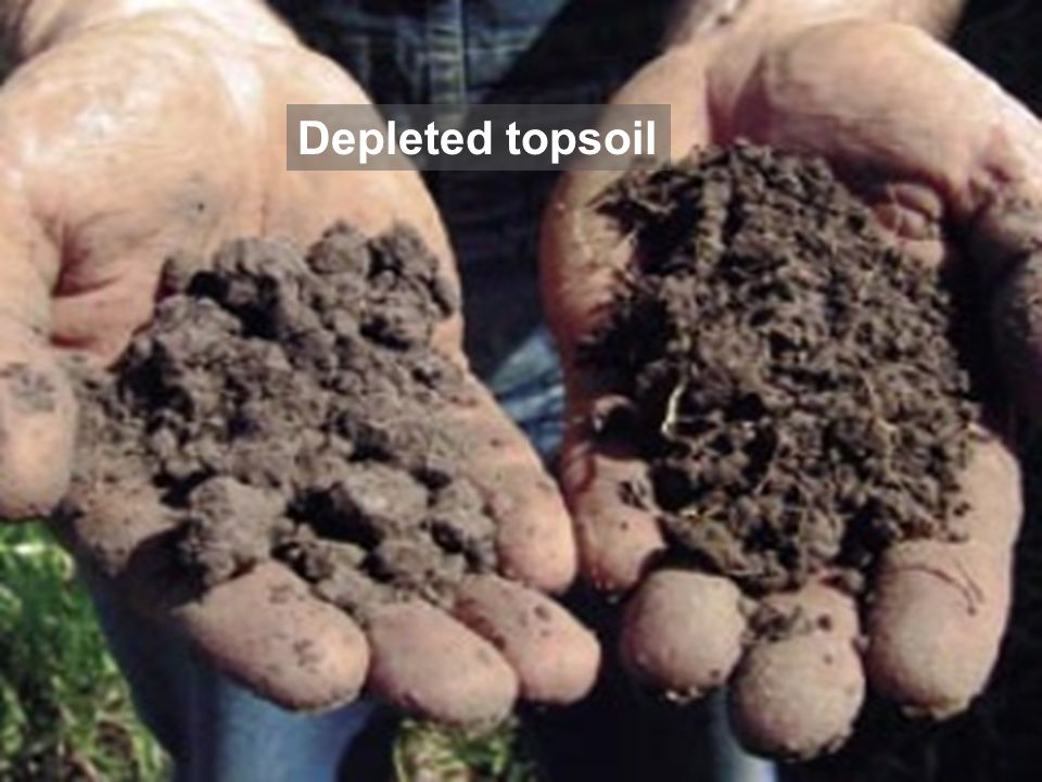 Depleted topsoil