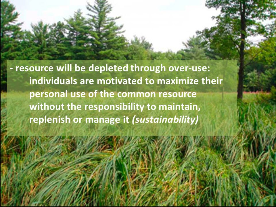 - resource will be depleted through over-use: individuals are motivated to maximize their personal use of the common resource without the responsibility to maintain, replenish or manage it (sustainability)