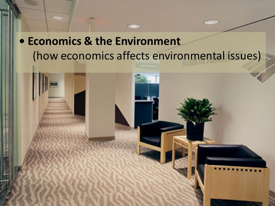 Economics & the Environment (how economics affects environmental issues)