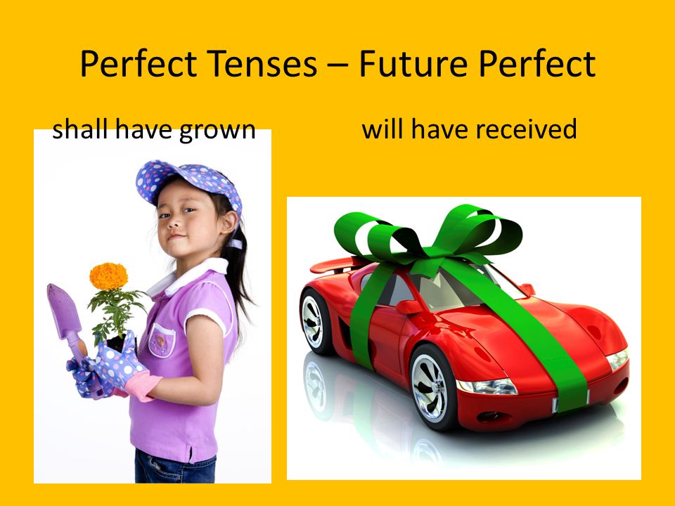Perfect Tenses – Future Perfect shall have grownwill have received