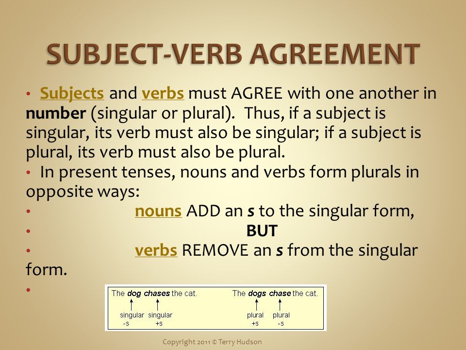 Subjects and verbs must AGREE with one another in number (singular or plural).