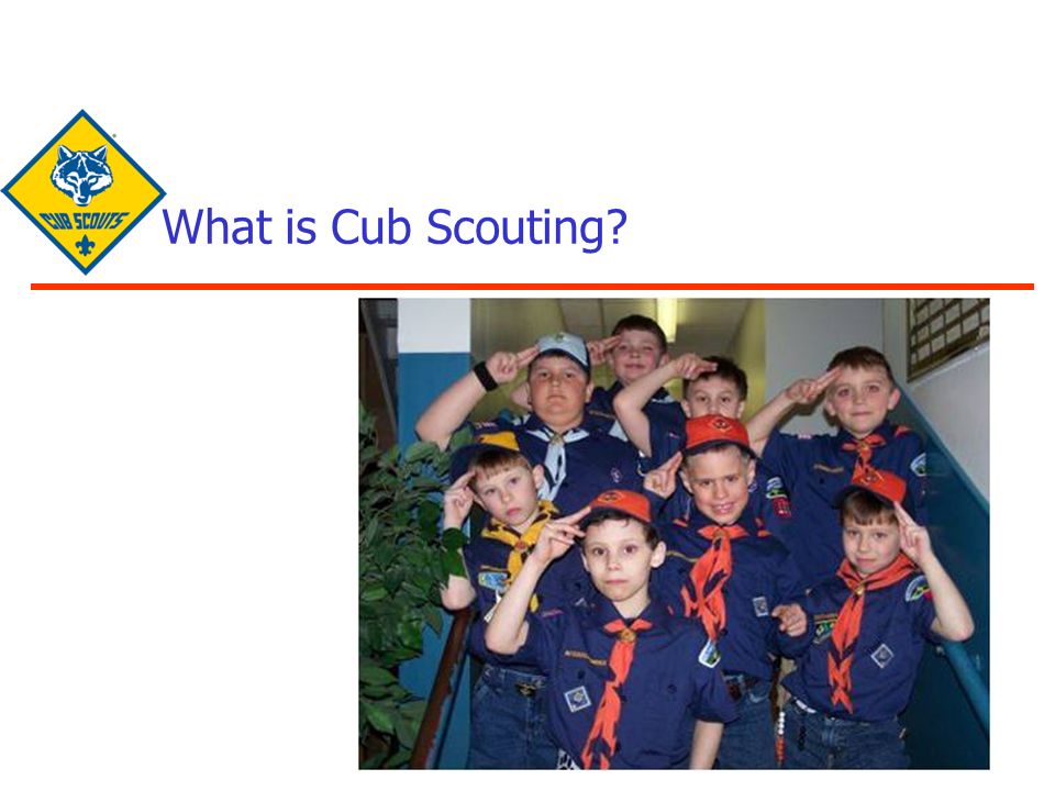 cub scout pack ### welcome to cub scouts 2012.