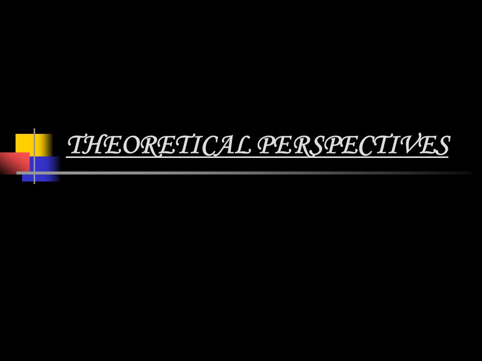 interactionist perspective