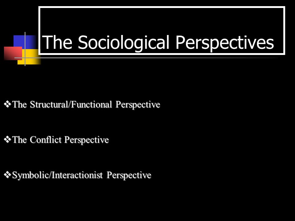 interactionist perspective