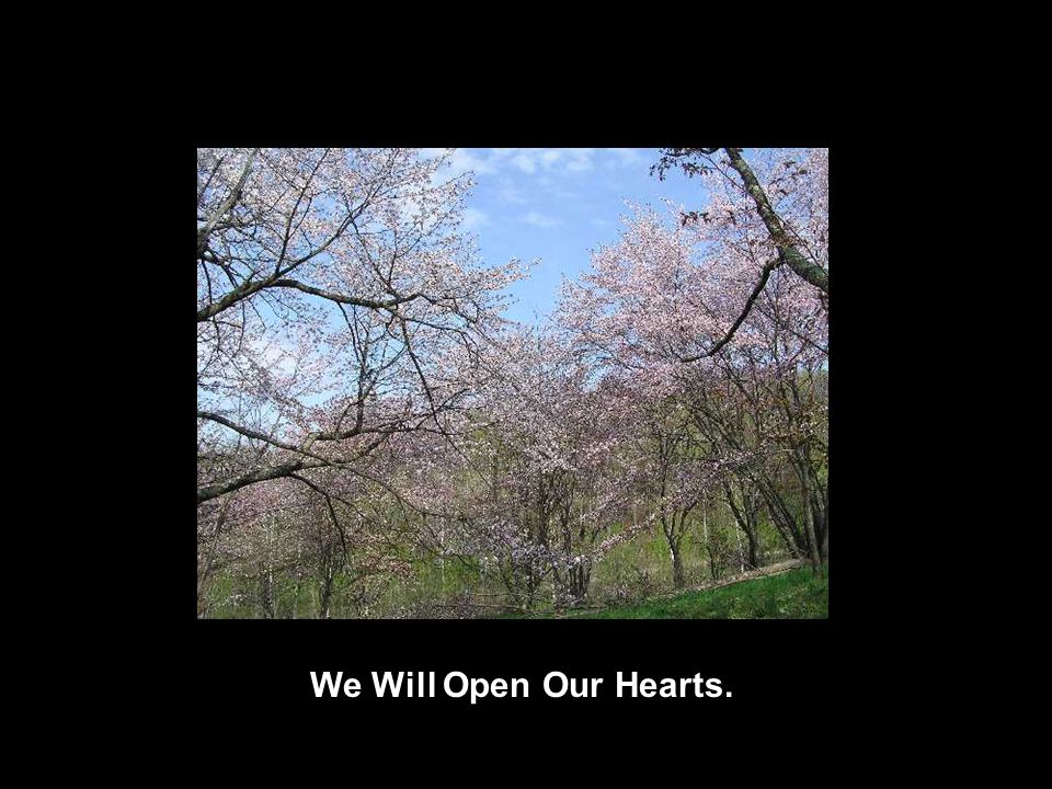 We Will Open Our Hearts.