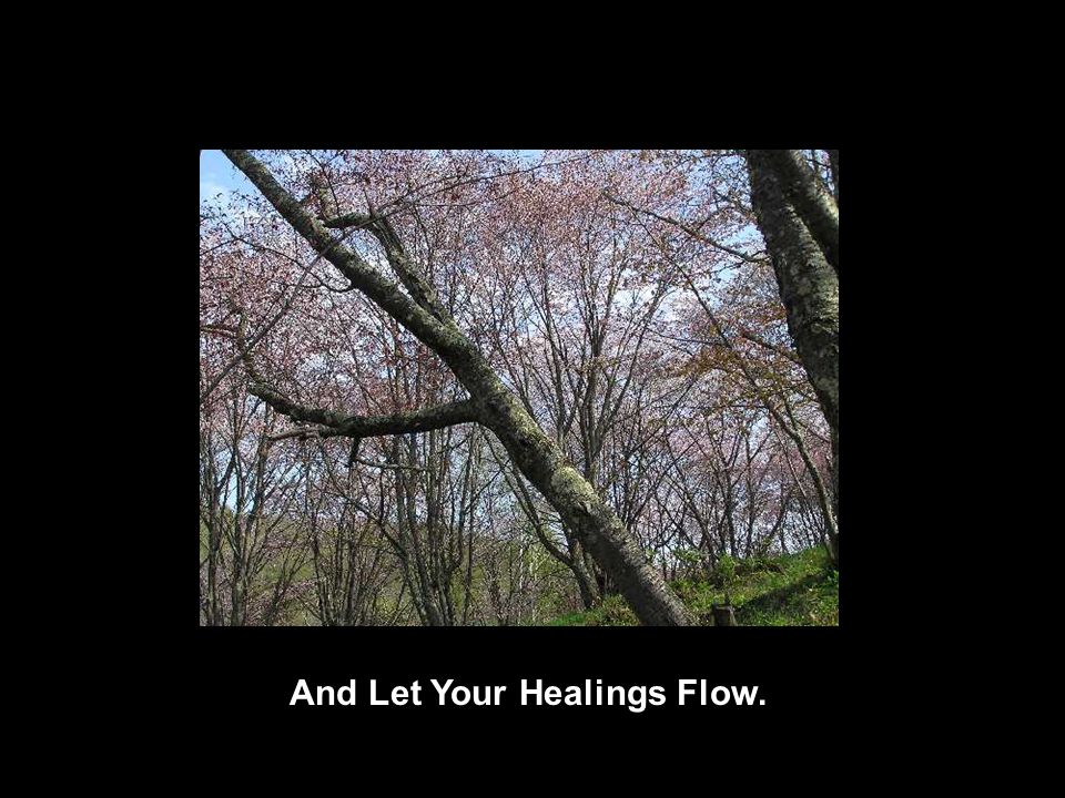 And Let Your Healings Flow.
