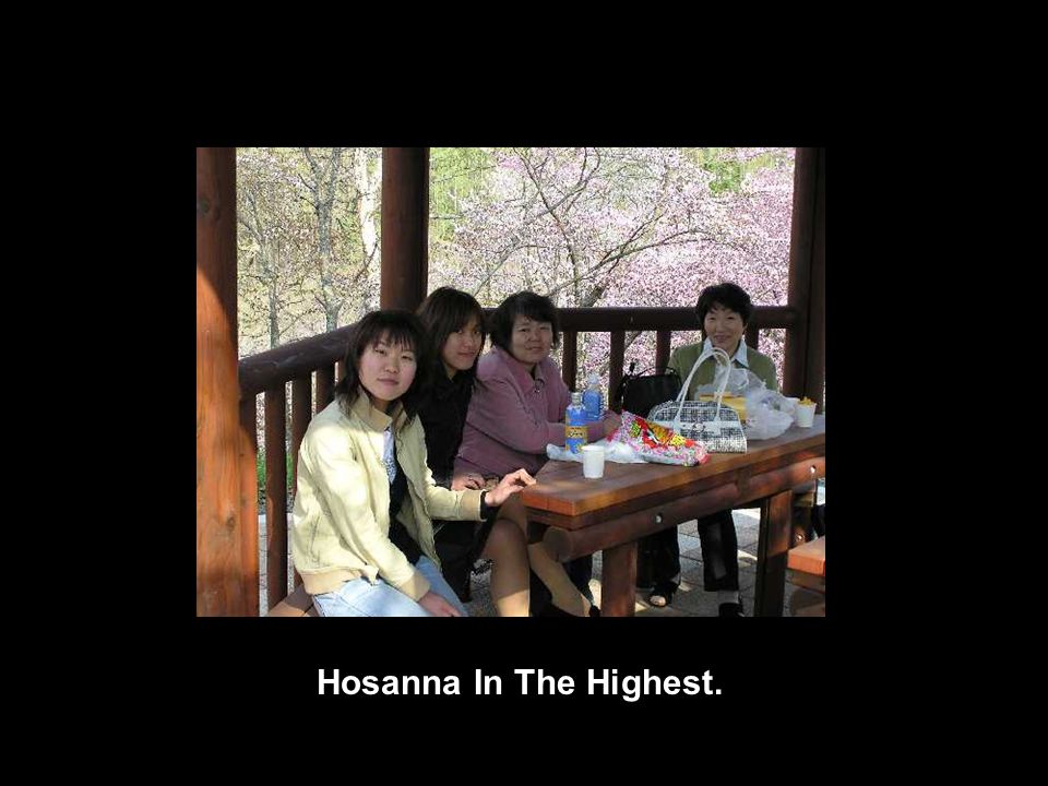 Hosanna In The Highest.