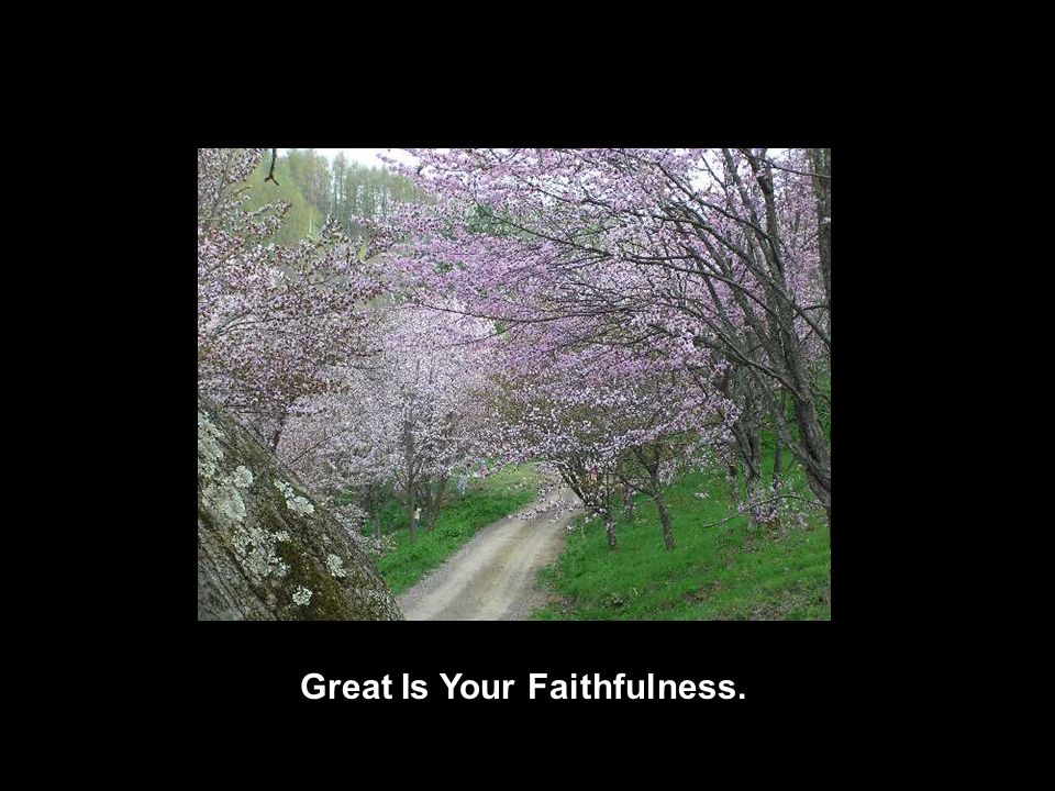 Great Is Your Faithfulness.