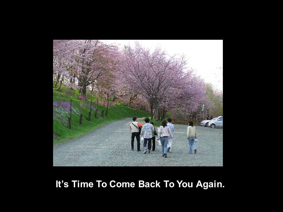 It’s Time To Come Back To You Again.