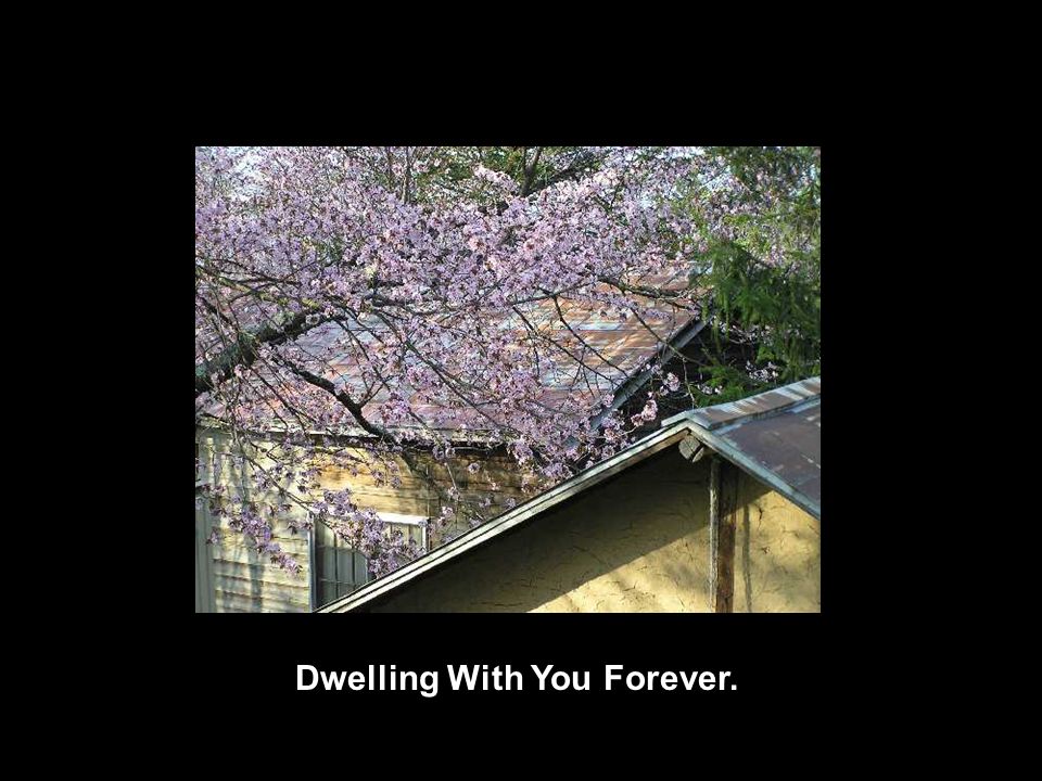 Dwelling With You Forever.