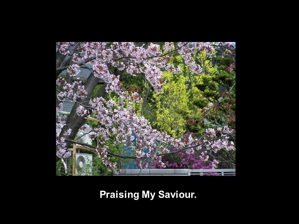 Praising My Saviour.