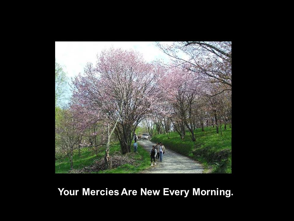 Your Mercies Are New Every Morning.