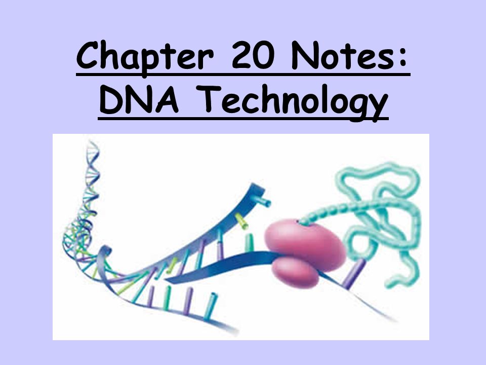 Chapter 20 Notes: DNA Technology