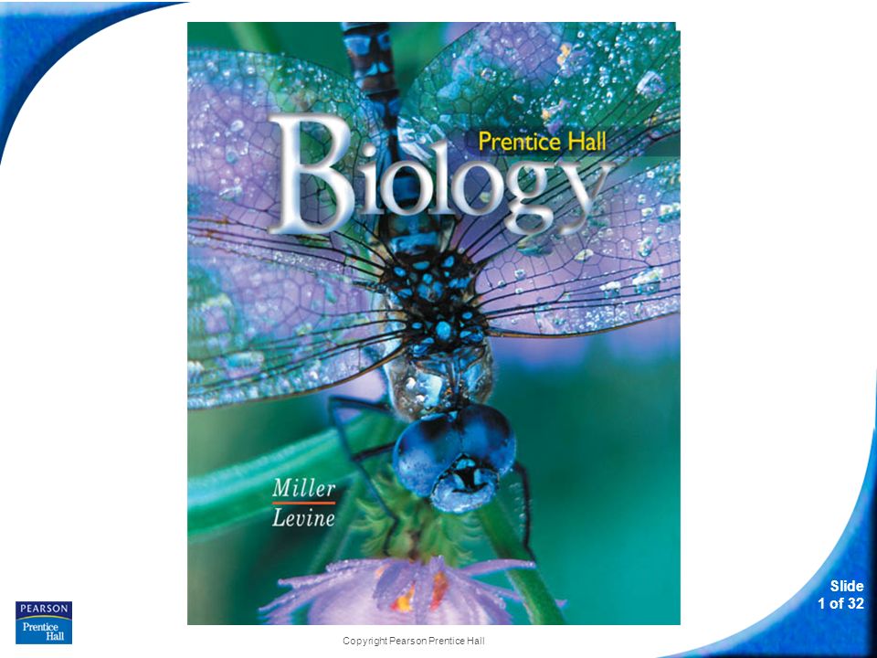 Slide 1 of 32 Copyright Pearson Prentice Hall Biology