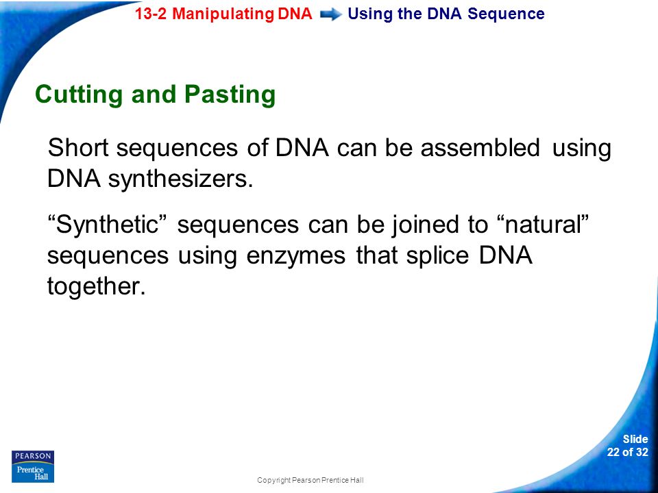 13-2 Manipulating DNA Slide 22 of 32 Copyright Pearson Prentice Hall Using the DNA Sequence Cutting and Pasting Short sequences of DNA can be assembled using DNA synthesizers.