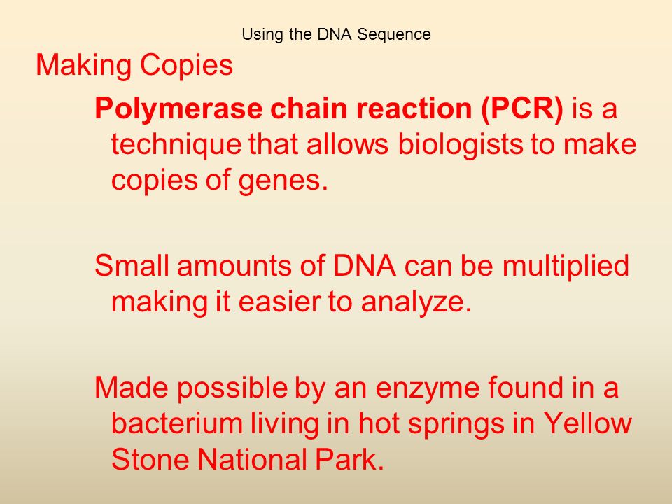 Using the DNA Sequence Making Copies Polymerase chain reaction (PCR) is a technique that allows biologists to make copies of genes.