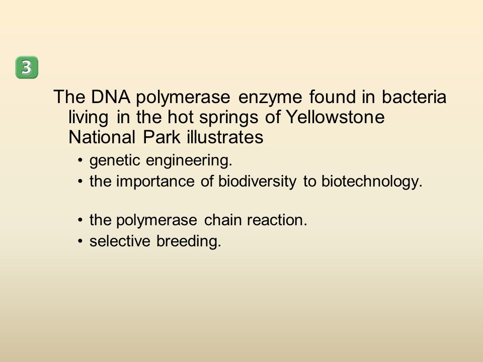 The DNA polymerase enzyme found in bacteria living in the hot springs of Yellowstone National Park illustrates genetic engineering.
