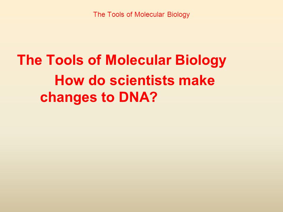 The Tools of Molecular Biology How do scientists make changes to DNA.