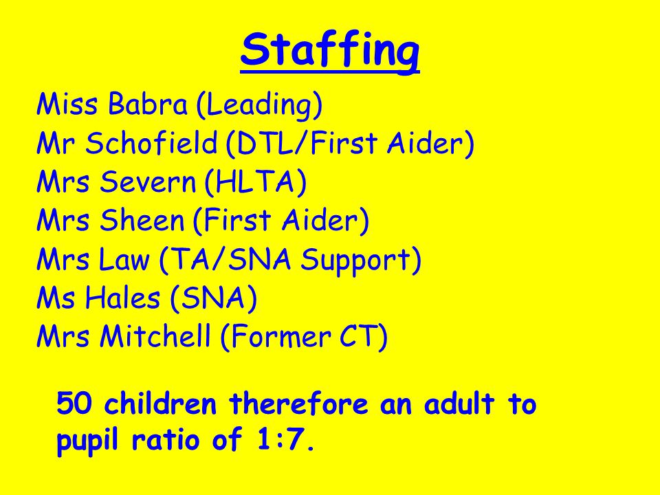 Staffing Miss Babra (Leading) Mr Schofield (DTL/First Aider) Mrs Severn (HLTA) Mrs Sheen (First Aider) Mrs Law (TA/SNA Support) Ms Hales (SNA) Mrs Mitchell (Former CT) 50 children therefore an adult to pupil ratio of 1:7.