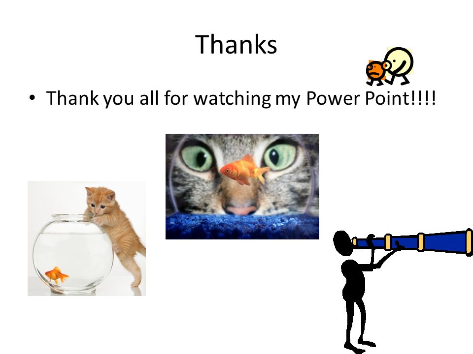 Thanks Thank you all for watching my Power Point!!!!