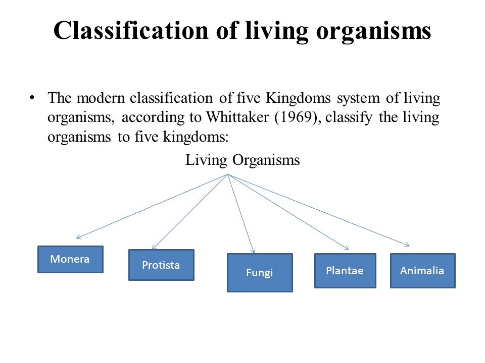 the advantages of classifying organisms Advantages of classifying organisms what are the advantages of classifying organisms in science, the practice of classifying organisms is called taxonomy (taxis means arrangement and nomos means method). the advantages of classifying organisms Advantages of classifying organisms what are the advantages of classifying organisms in science, the practice of classifying organisms is called taxonomy (taxis means arrangement and nomos means method).