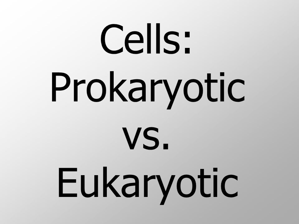 Cells: Prokaryotic vs. Eukaryotic