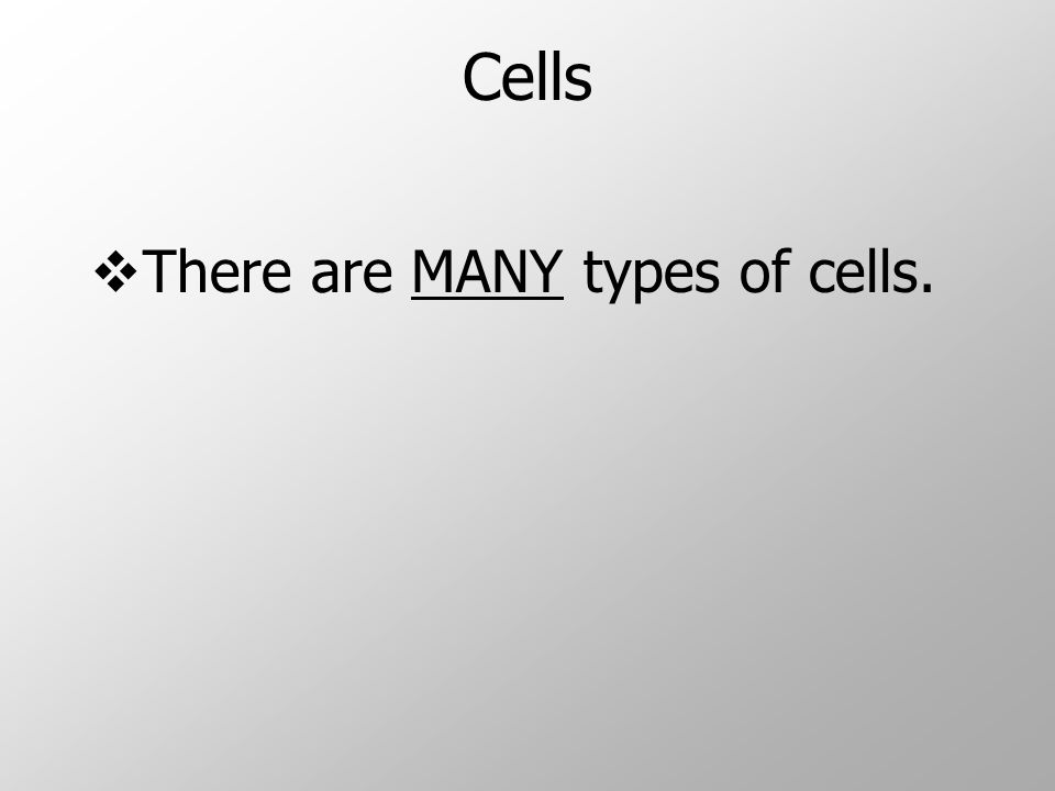 Cells  There are MANY types of cells.