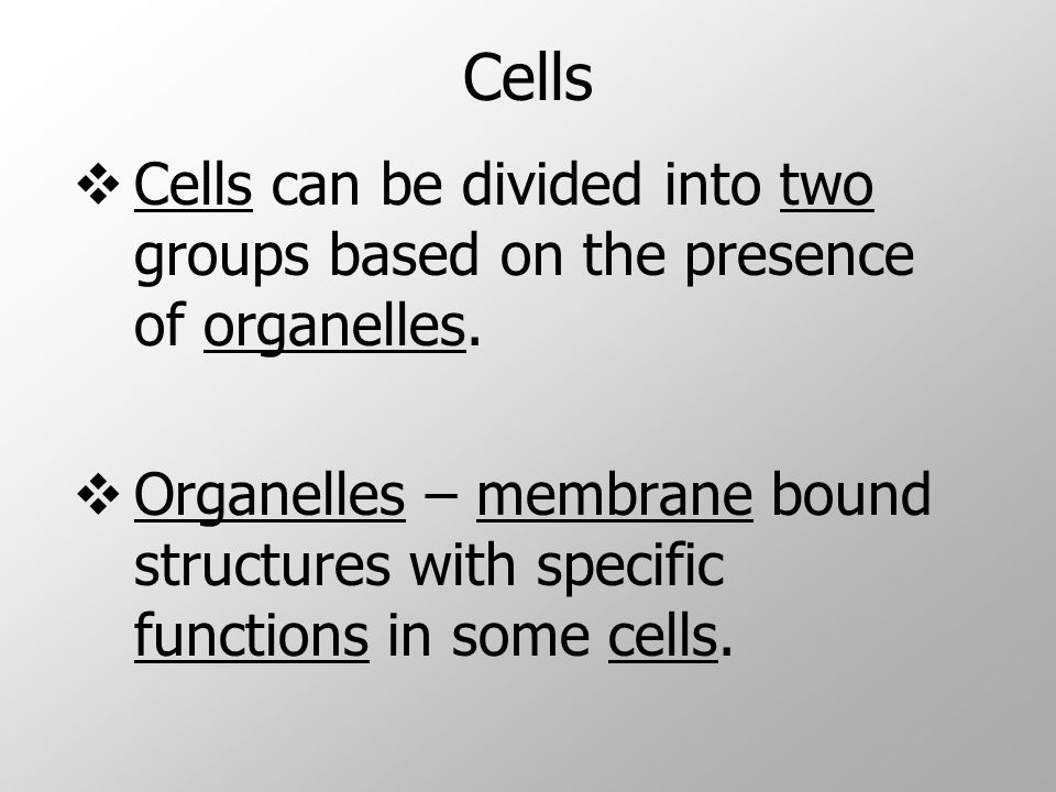 Cells  Cells can be divided into two groups based on the presence of organelles.