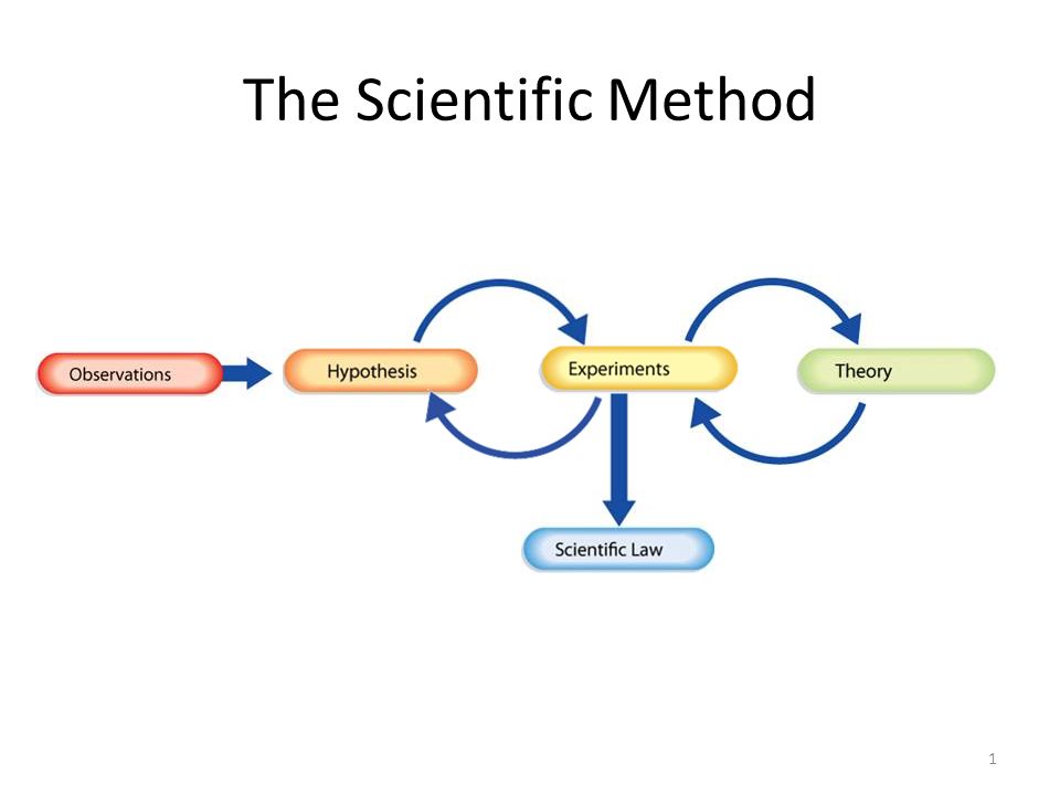The Scientific Method 1