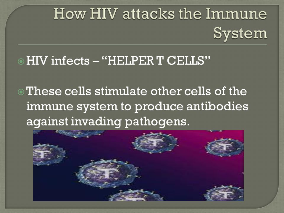  HIV infects – HELPER T CELLS  These cells stimulate other cells of the immune system to produce antibodies against invading pathogens.