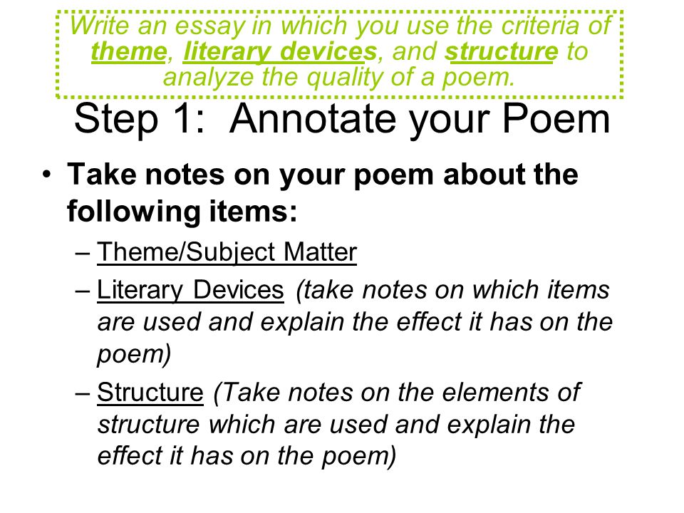 Literary Analysis Essay Example Poetry