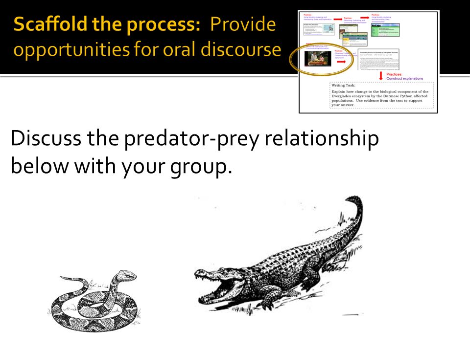 Discuss the predator-prey relationship below with your group.