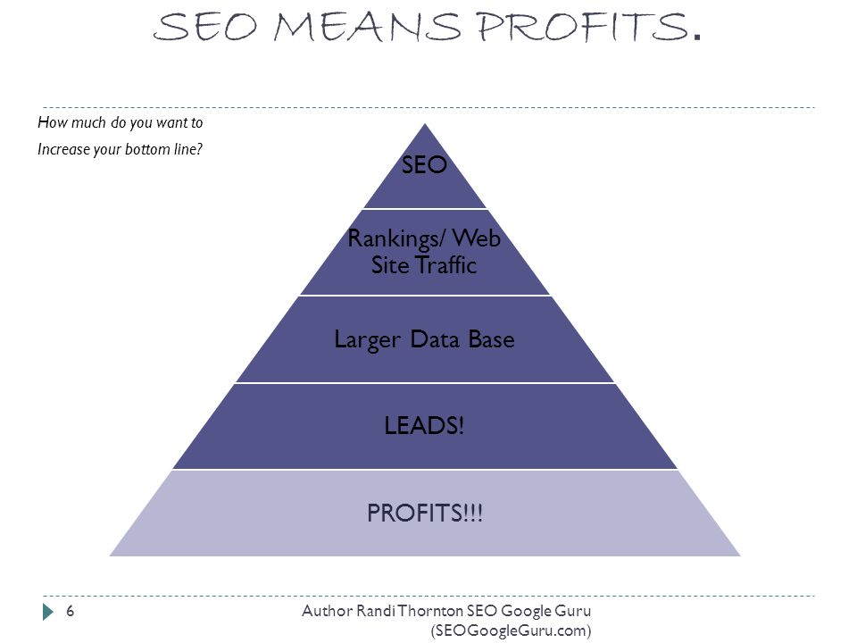 SEO MEANS PROFITS. How much do you want to Increase your bottom line.