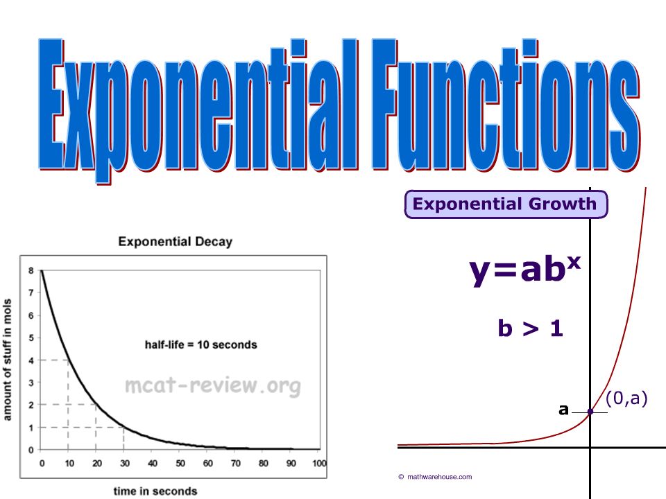exponential functions an initial amount is repeatedly multiplied by ab x form