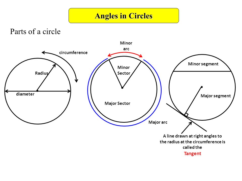 Angles in Circles Parts of a circle Radius diameter circumference Major Sector Major arc Minor arc Minor segment Major segment Minor Sector A line drawn at right angles to the radius at the circumference is called the Tangent