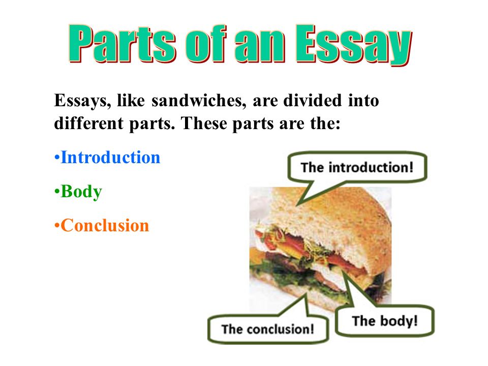 parts of an essay introduction