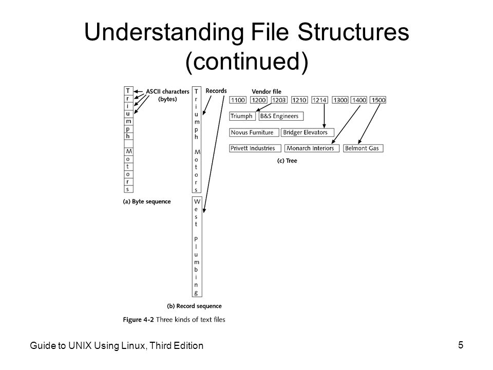 Guide to UNIX Using Linux, Third Edition 5 Understanding File Structures (continued)