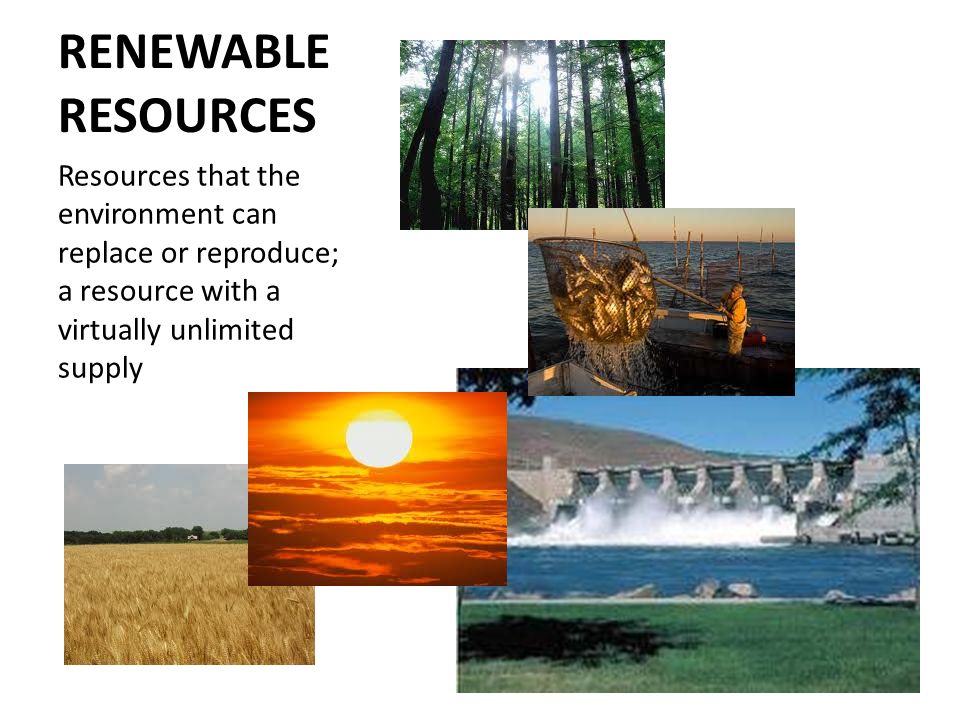 RENEWABLE RESOURCES Resources that the environment can replace or reproduce; a resource with a virtually unlimited supply