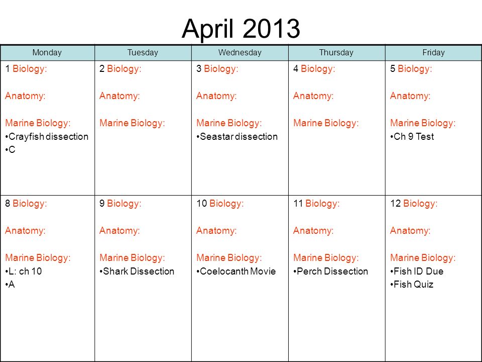 Printables Marine Biology Worksheets august 2012 mondaytuesdaywednesdaythursdayfriday 2021 first day of april 2013 1 biology anatomy marine crayfish dissection c 2 biology