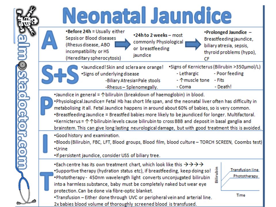 Bilirubin Levels Chart Adults