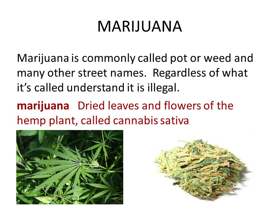Illegal drugs street names