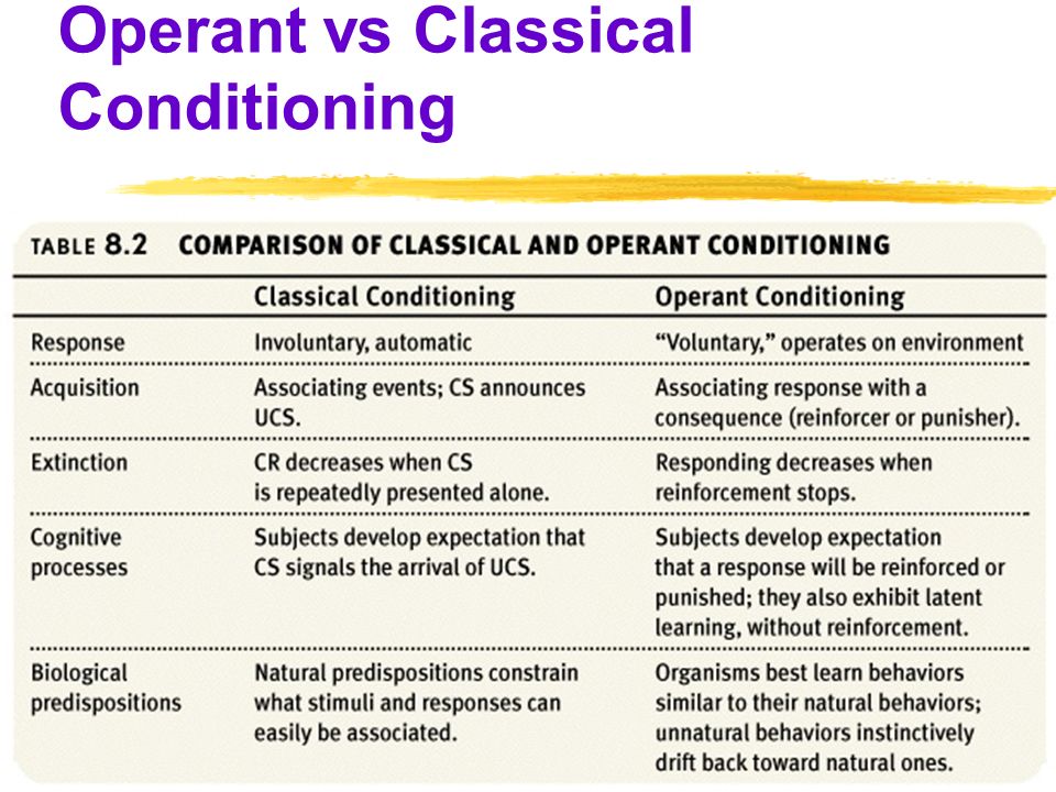 classical v operant conditioning classical v operant conditioning